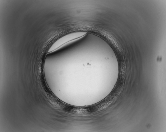 X0000100230501200806131339