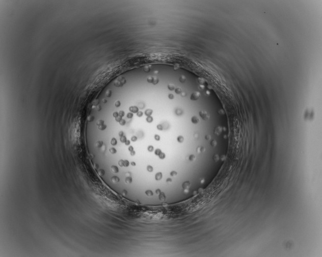 X0000100230502200806131339