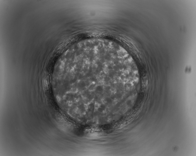 X0000100230503200806131339