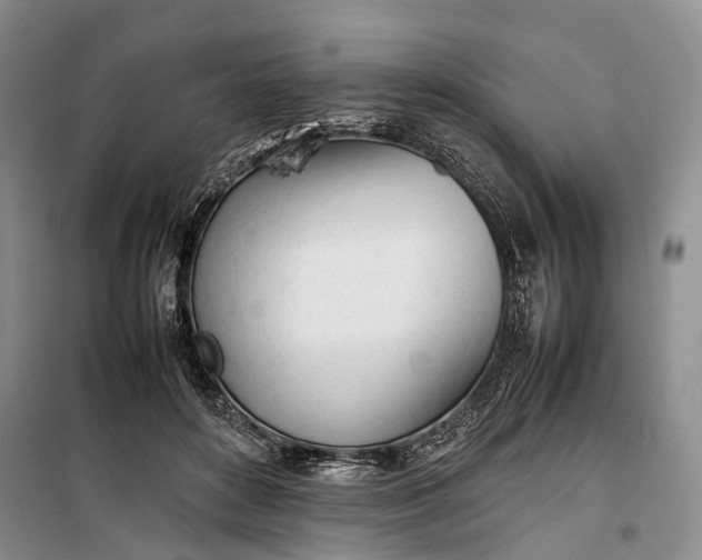 X0000100230504200806131339