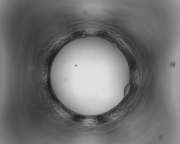 X0000100230505200806131339