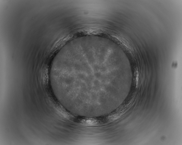 X0000100230506200806131339