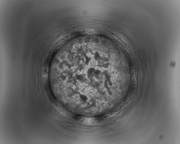 X0000100230507200806131339