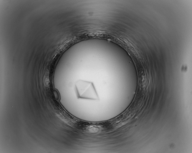 X0000100230508200806131339