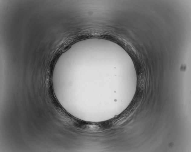 X0000100230509200806131339