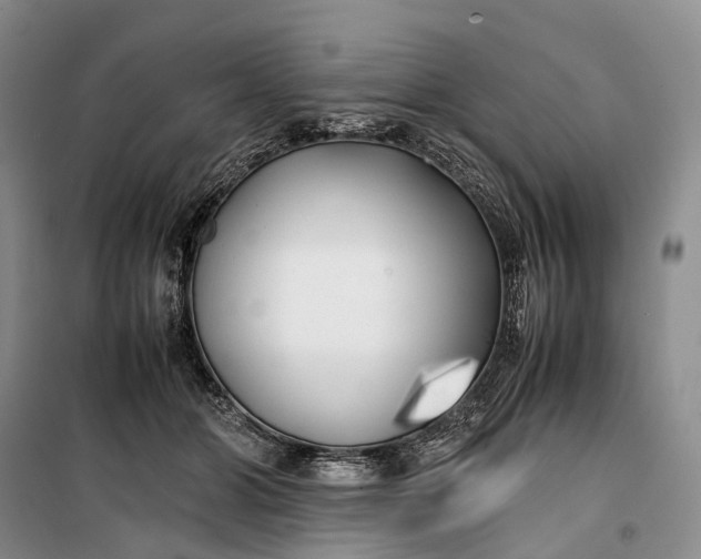 X0000100230510200806131339