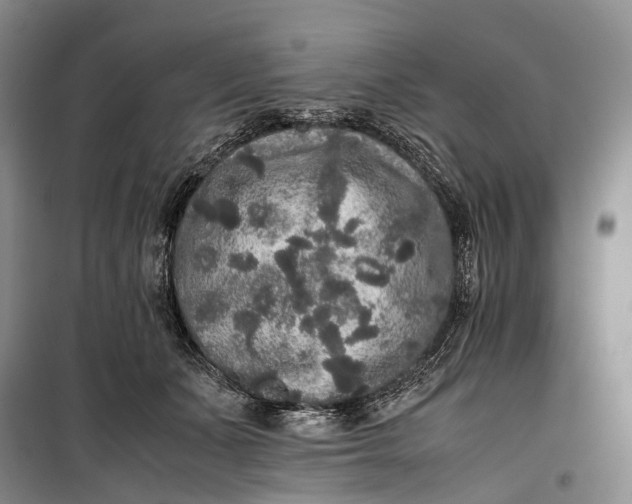 X0000100230511200806131339