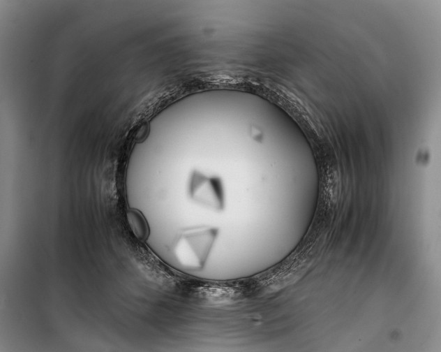 X0000100230512200806131339