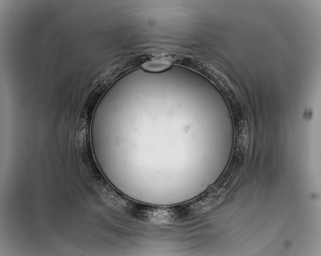 X0000100230513200806131339