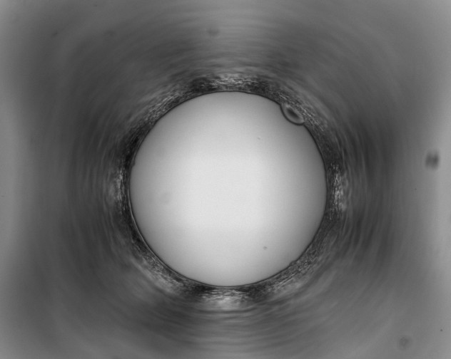 X0000100230514200806131339