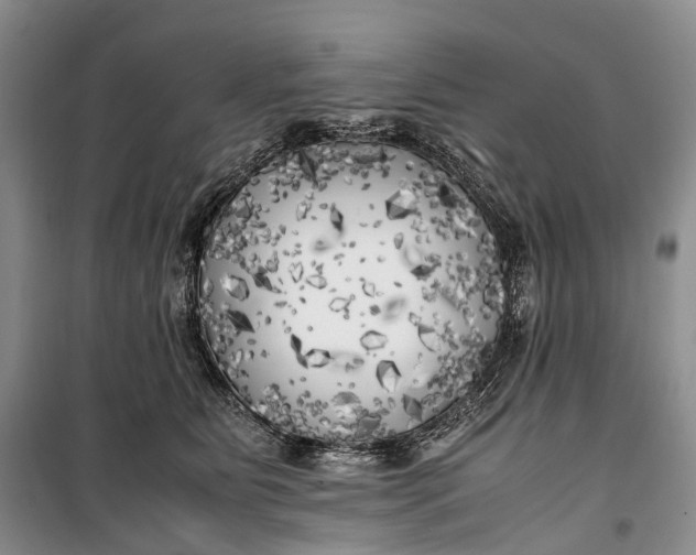 X0000100230515200806131339