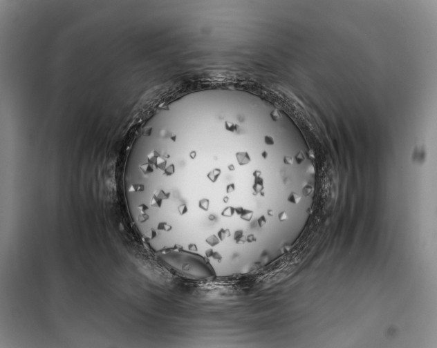 X0000100230516200806131339