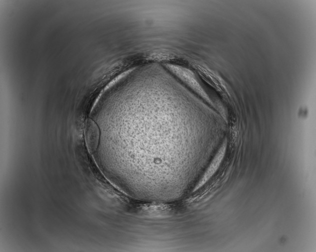 X0000100230517200806131339