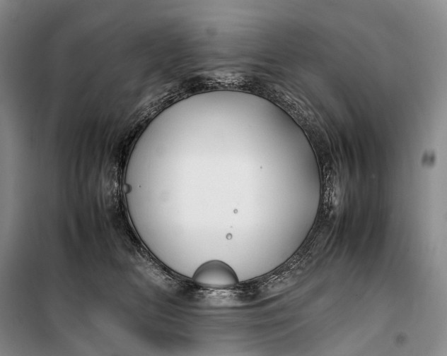 X0000100230518200806131339