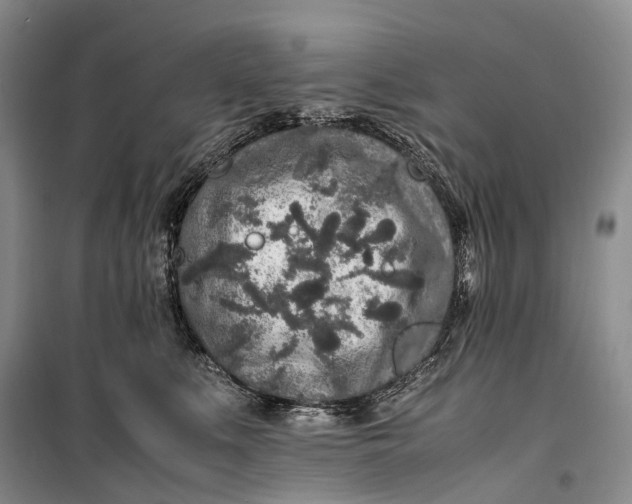 X0000100230519200806131339