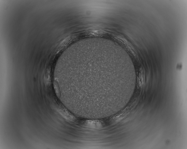 X0000100230520200806131339