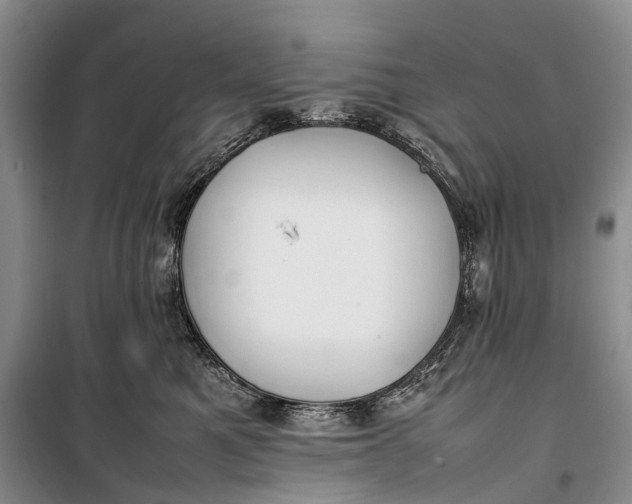 X0000100230521200806131339