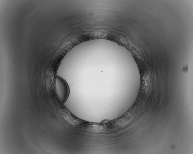 X0000100230522200806131339