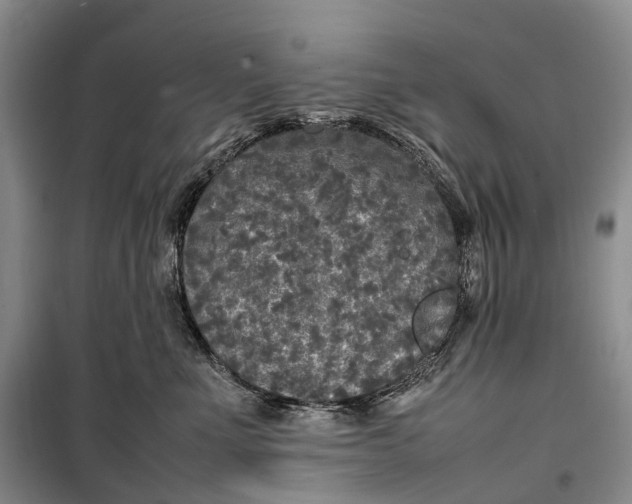 X0000100230523200806131339