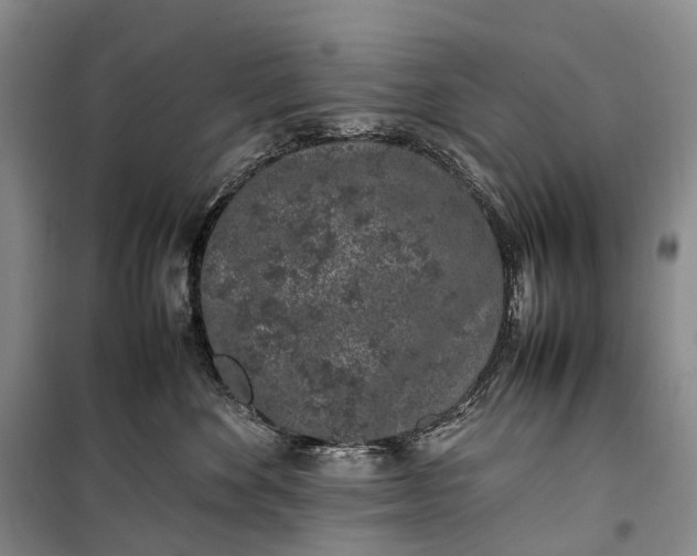 X0000100230524200806131339