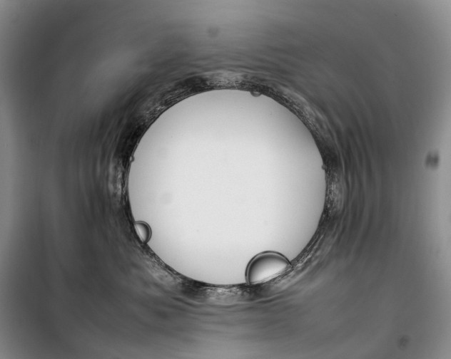 X0000100230525200806131339