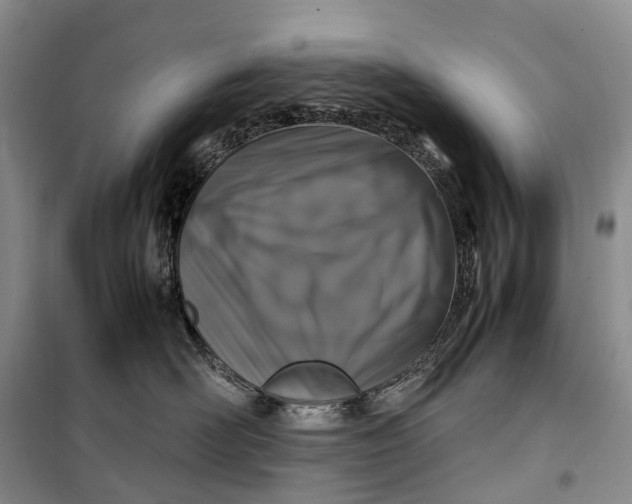 X0000100230526200806131339