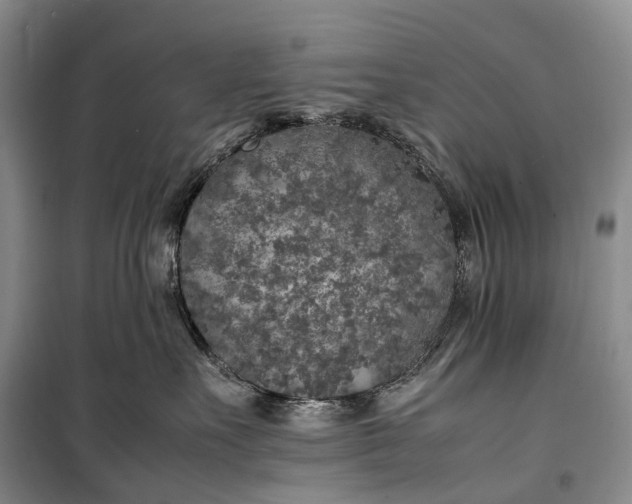 X0000100230527200806131339