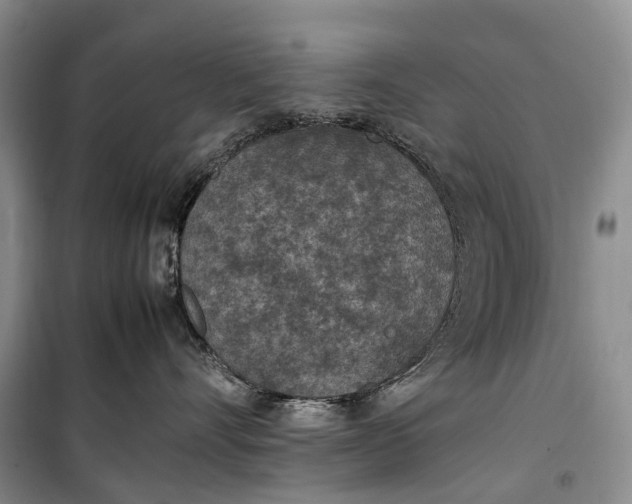 X0000100230528200806131339