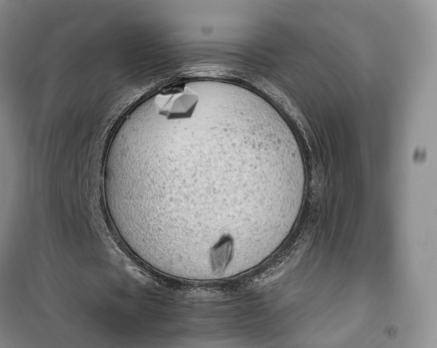 X0000100230529200806131338