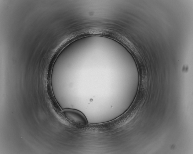 X0000100230530200806131338