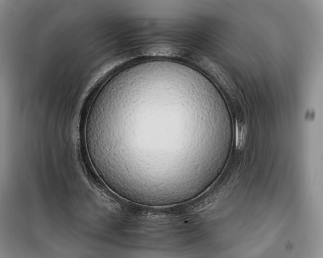 X0000100230531200806131338