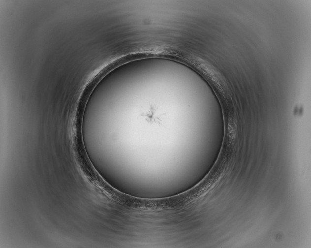 X0000100230532200806131338