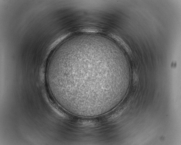 X0000100230533200806131338