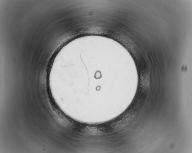 X0000100230534200806131338