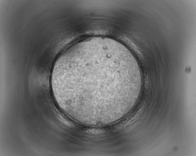 X0000100230537200806131338