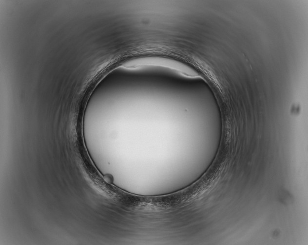 X0000100230538200806131338