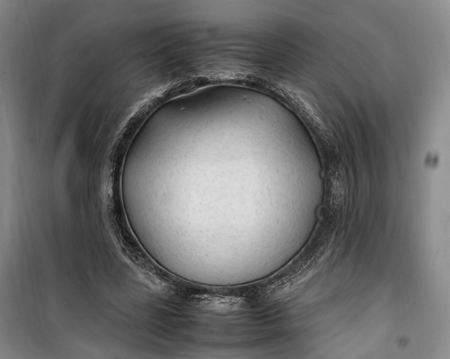 X0000100230539200806131338