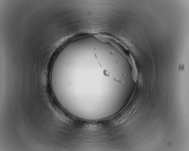 X0000100230540200806131338