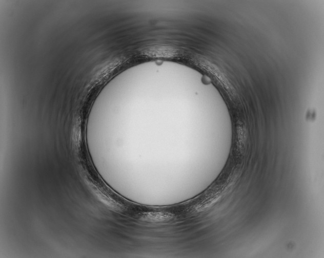 X0000100230541200806131338