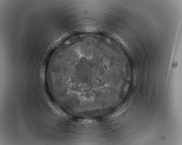 X0000100230542200806131338