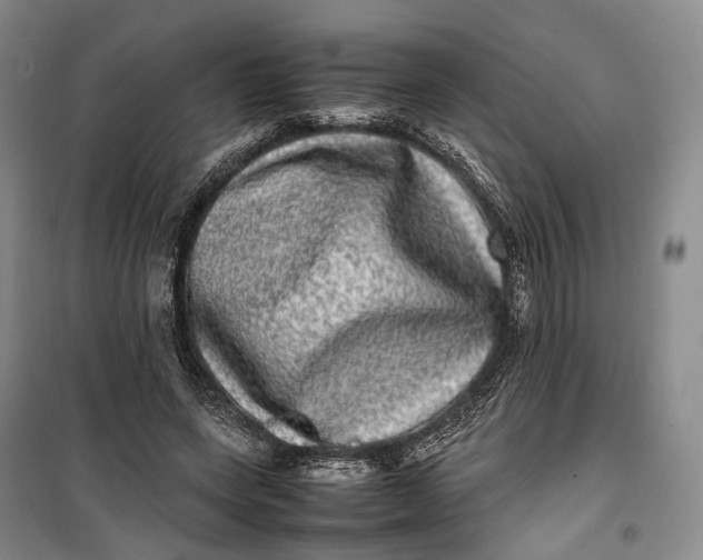 X0000100230543200806131338