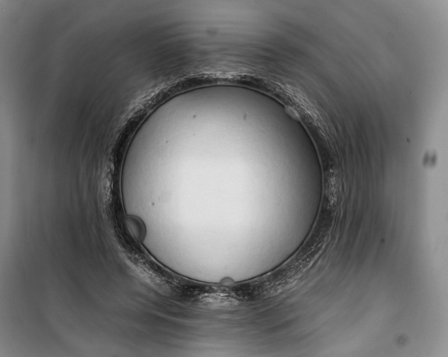 X0000100230544200806131338