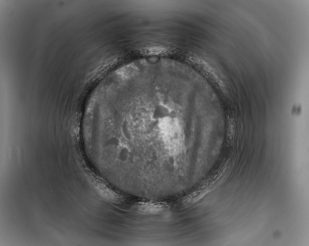 X0000100230545200806131338