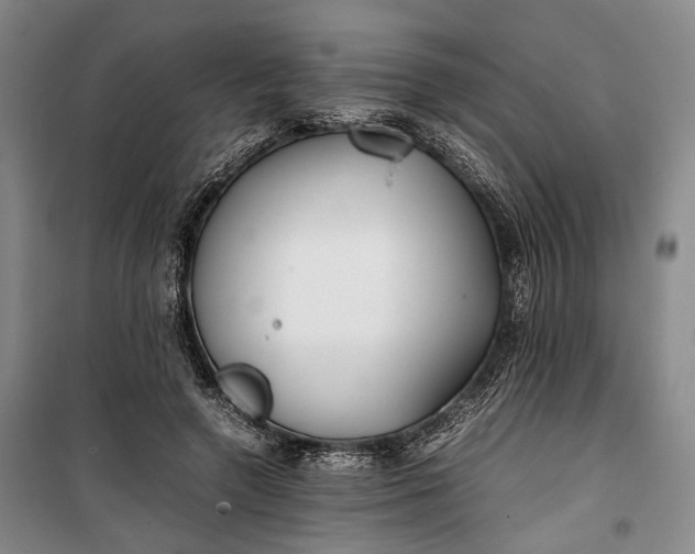 X0000100230546200806131338