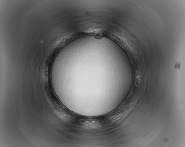 X0000100230547200806131338