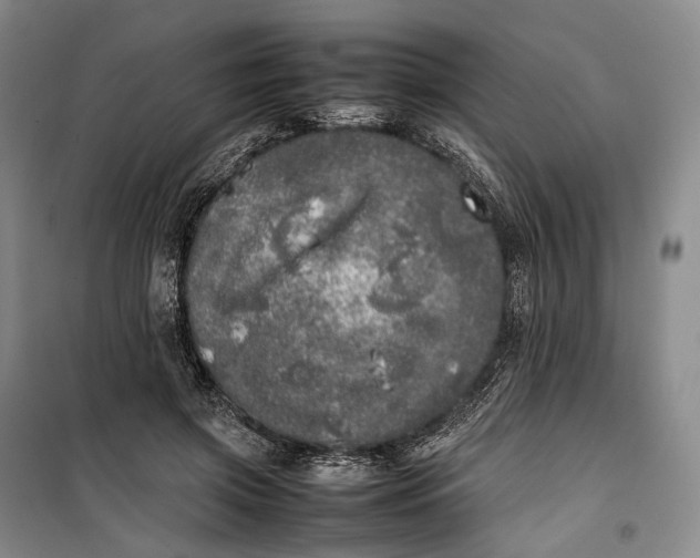 X0000100230549200806131338