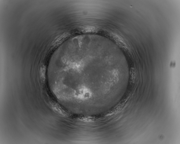 X0000100230550200806131338