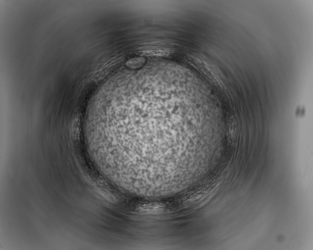 X0000100230551200806131338