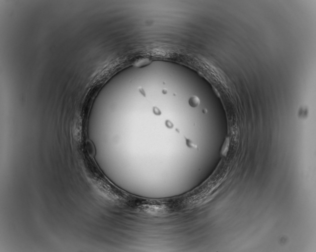 X0000100230552200806131338