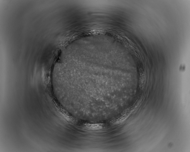 X0000100230553200806131338